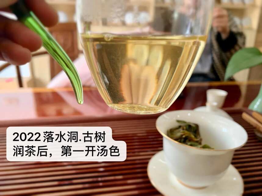 落水洞古树茶,易武高品质茶的典型代表,2022年的品质和价格怎样呢