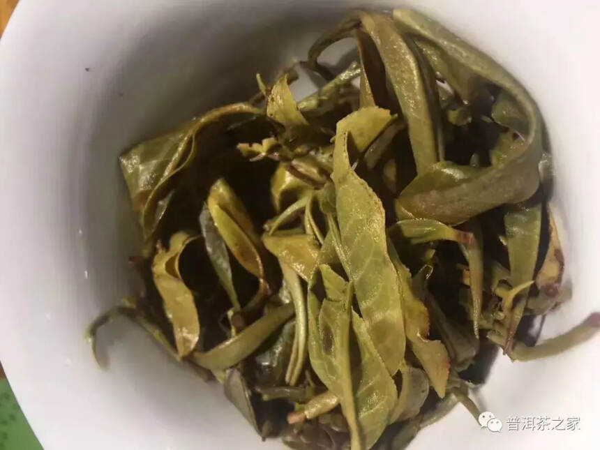 从普洱茶的叶底就能看出是不是古树纯料？