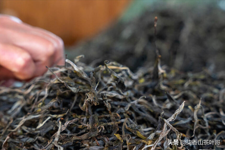 塞翁失马，焉知祸福：茶农大量屯茶，成为资本扩张的好机会