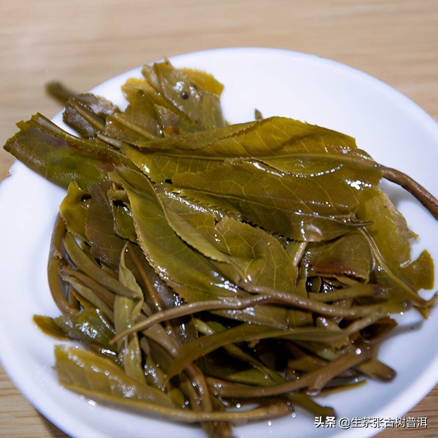 帕沙古树茶的生长环境怎么样？普洱茶口感又是怎么样的呢？