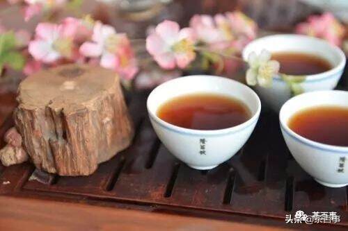 饮茶常识之茶汤面上有油脂的茶能喝吗？