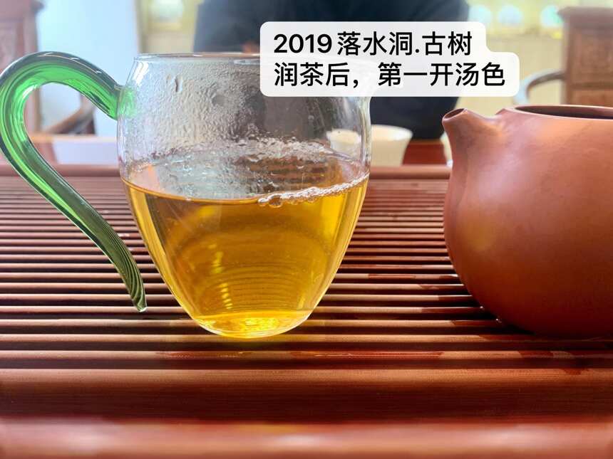 落水洞古树茶,易武高品质茶的典型代表,2022年的品质和价格怎样呢