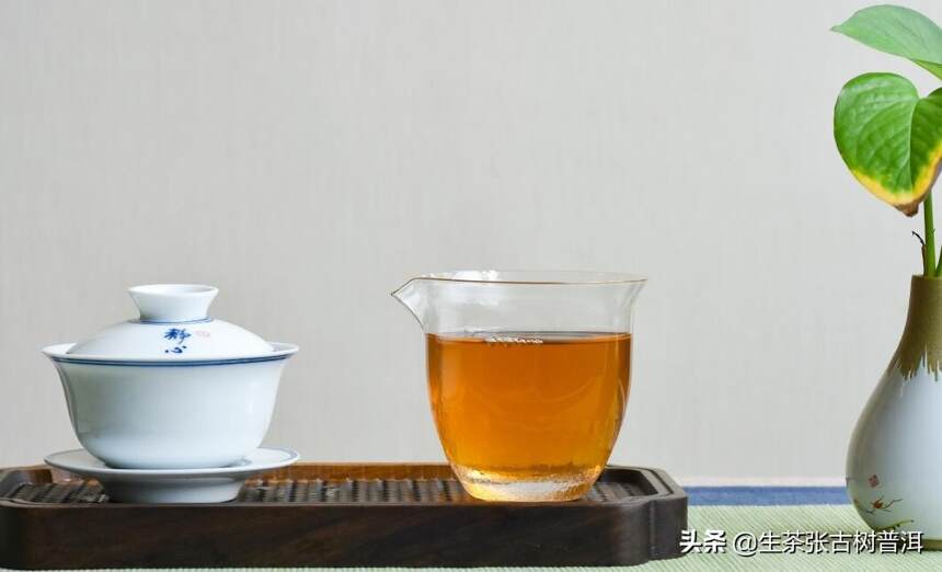 普洱茶的“茶气”从何而来？喝普洱茶，茶气足有什么样的表现？