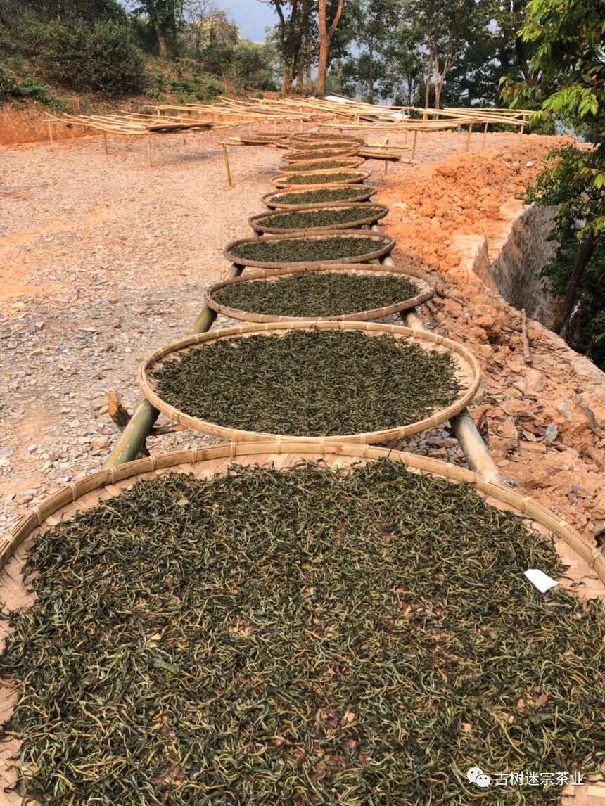 窥探普洱茶产业的生态系统