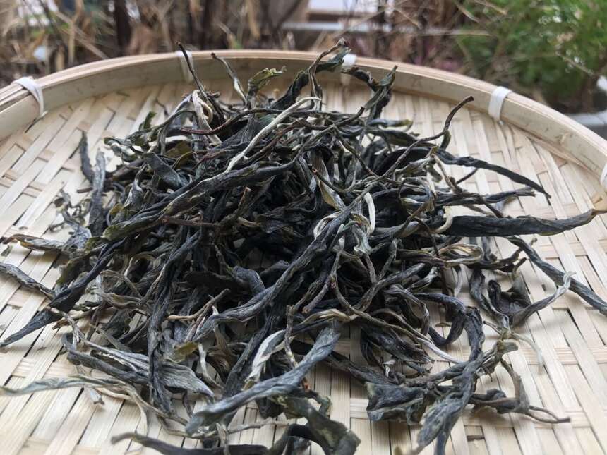 《老徐鉴茶》第235期：老徐谈茶第134期的大芽头古树茶品鉴报告