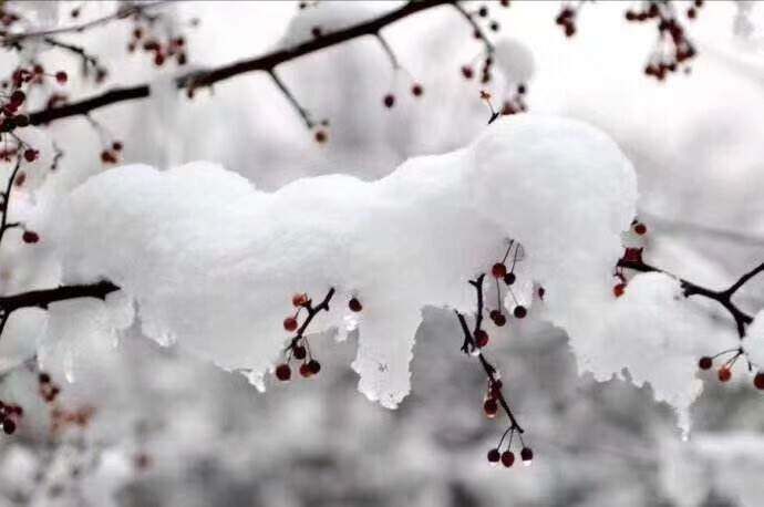 杭州那场雪