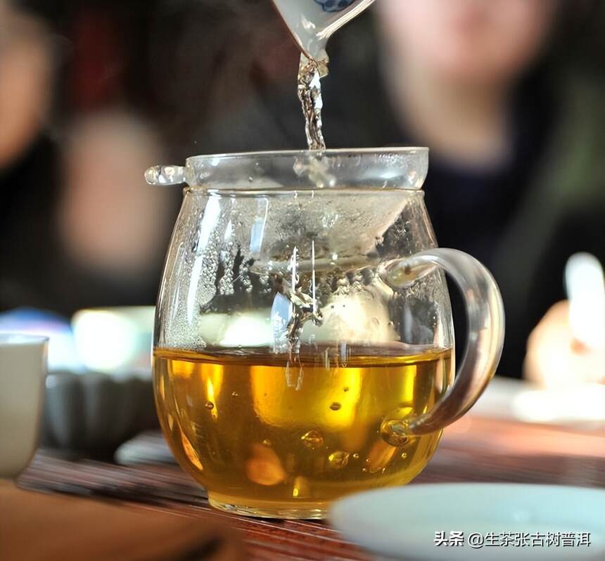 普洱茶最大的集散地——普洱茶区，其普洱茶有何特点？