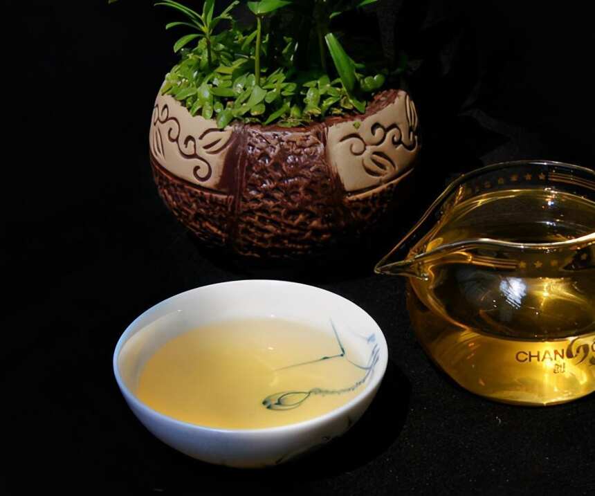 生茶张古树普洱：帕沙古树茶的茶性、茶气，以及茶树的生长环境