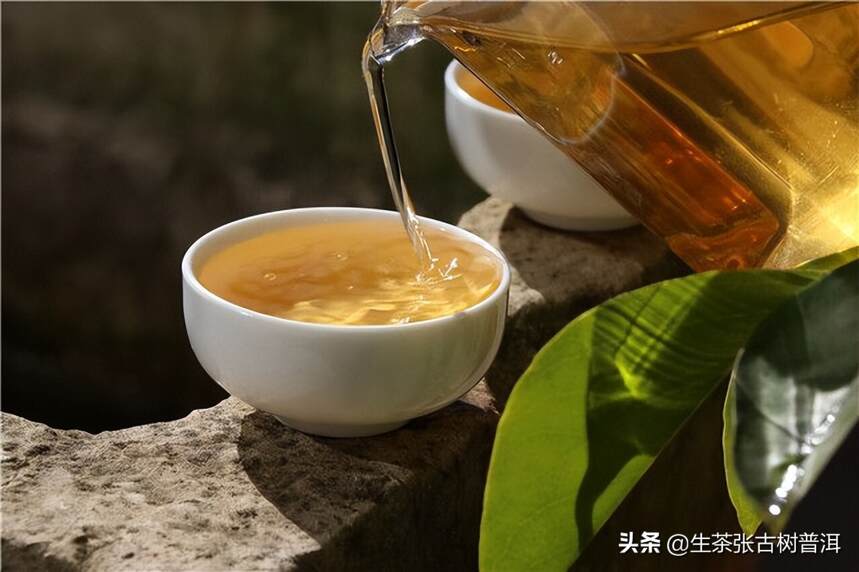 详述：关于普洱茶的9大热点问题，一文搞懂普洱茶