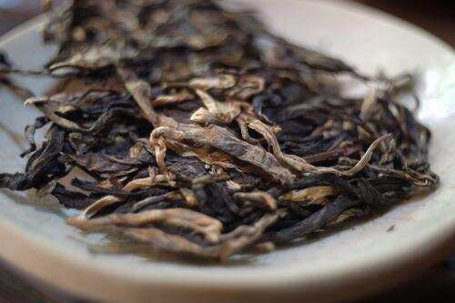 原始丛林山野气韵的刮风寨古树茶为何受到茶友的追捧，让人着迷？