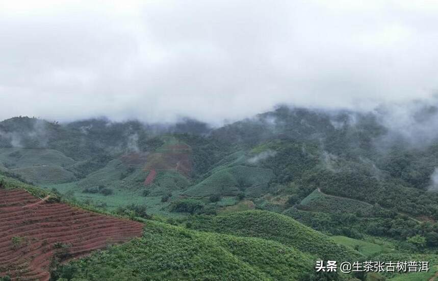 带你认识云南临沧6大茶山，你都清楚是哪6大茶山吗？