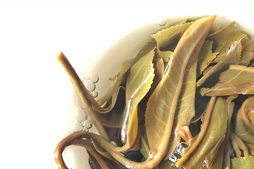 薄荷塘古树茶，易武产区的最高价，卖到38000元，大家看值不值？