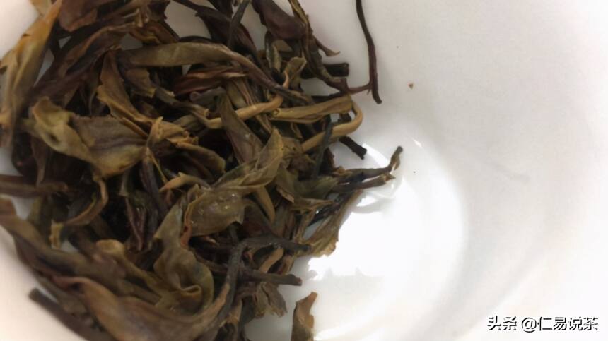 普洱茶实战干货分享，叶底是否能看出树龄与茶区的不同？