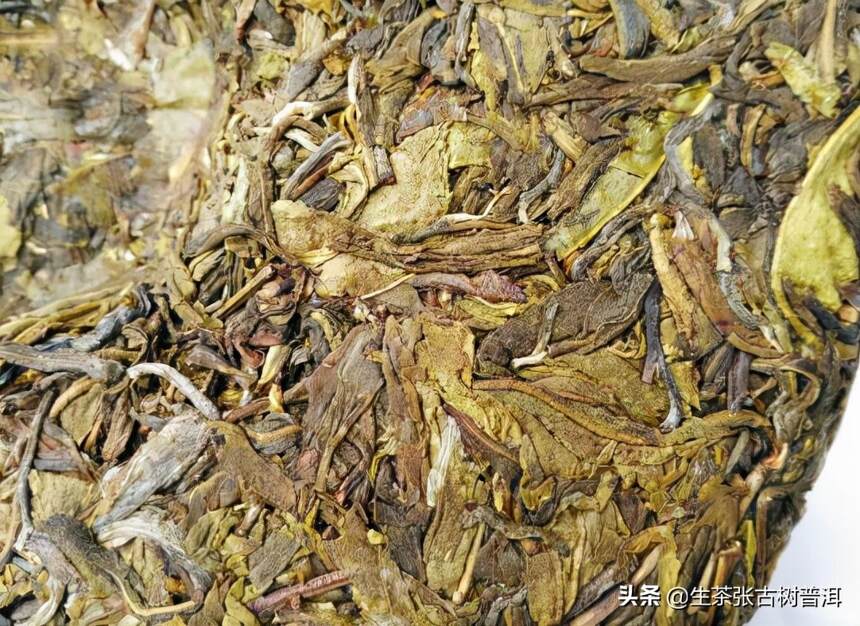 普洱茶中的老黄叶，值不值得喝？为何被称为“黄金叶”？