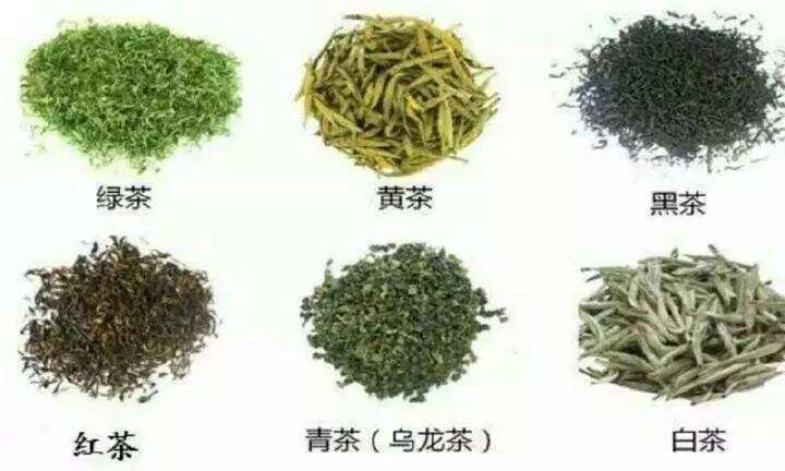 日本茶道被批无聊至极！如今的中国茶道，流于形式，毫无内涵？