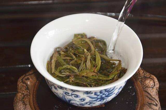 生茶张古树普洱：帕沙古树茶的茶性、茶气，以及茶树的生长环境