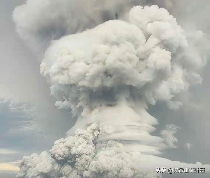 汤加火山喷发，太平洋突现巨大蘑菇，云南茶山或迎来“无夏之年”