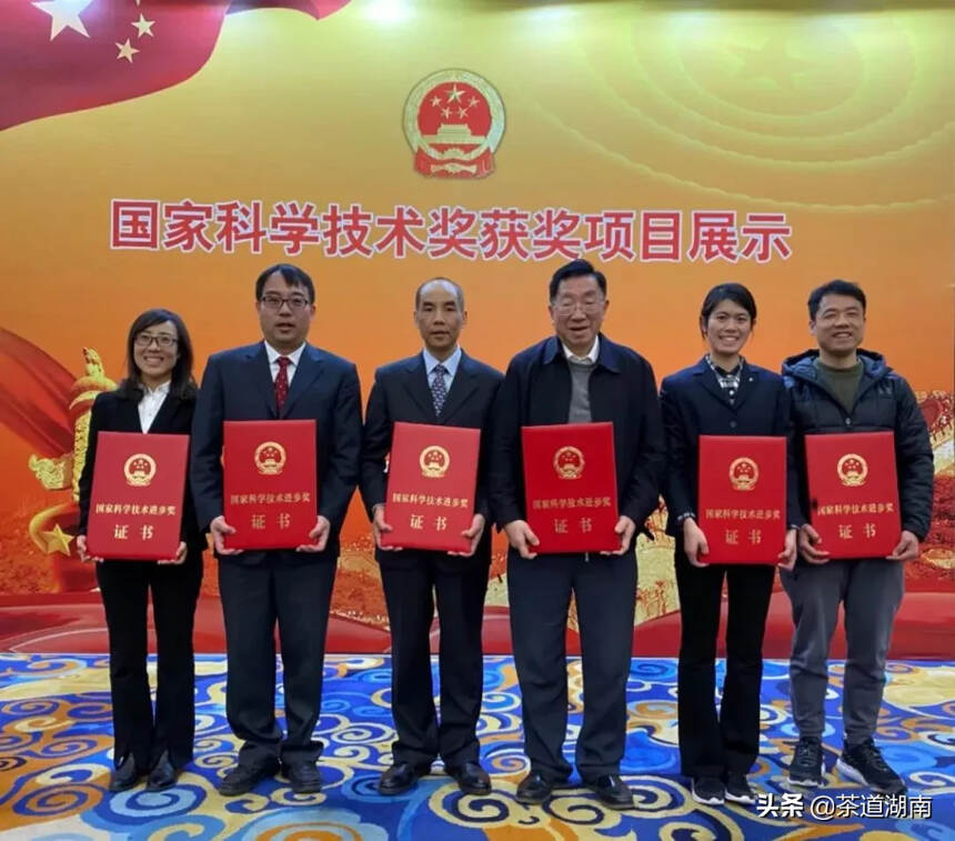 中国工程院院士陈宗懋团队科研项目获国家科技进步二等奖