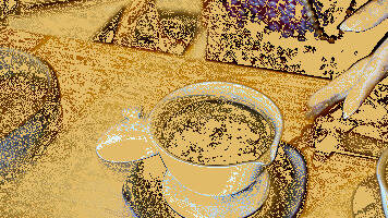 “野生茶”与“野放茶”各有什么特点？