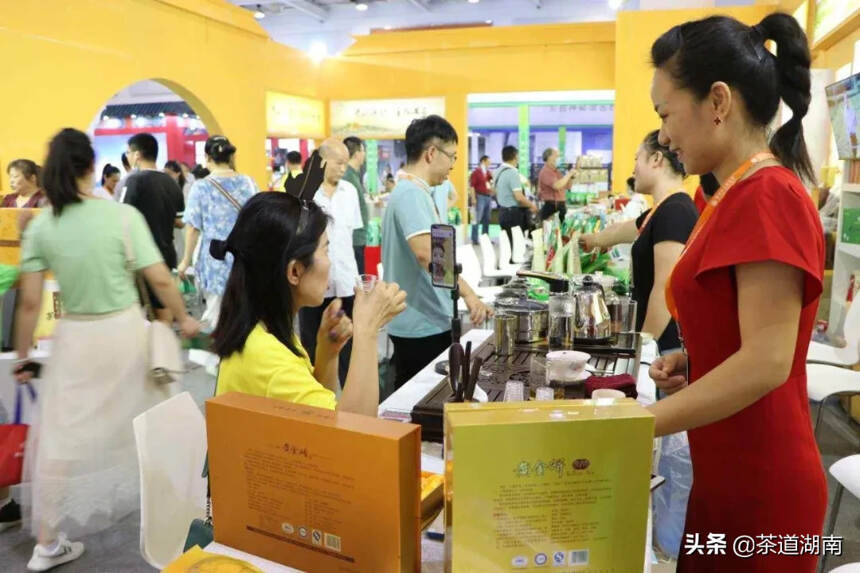 317万成交：2020第十二届湖南茶业博览会全球直播效果显著
