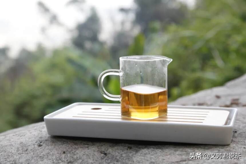 荒野红茶这么野，为何很多茶友喜欢喝？一篇文章告诉你答案