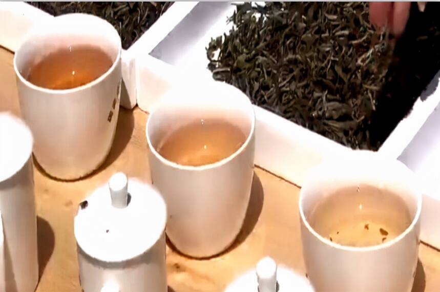 白茶的年份怎么区分