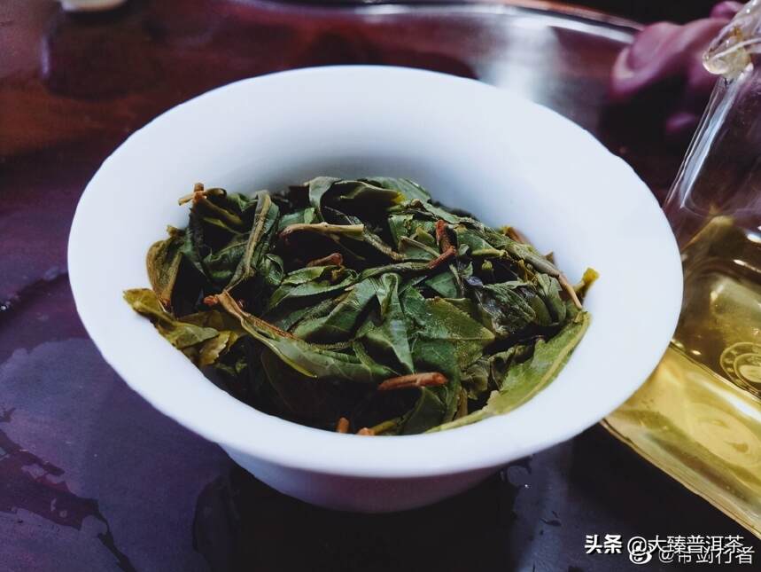 一棵5.4公斤干茶的茶｜行者品茶(122)