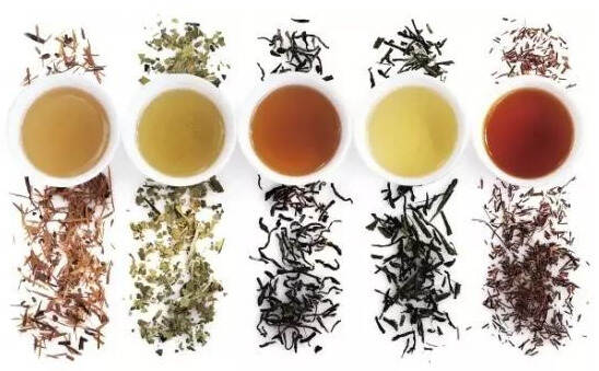 2019新茶上市，5大要点教你如何买到靠谱茶