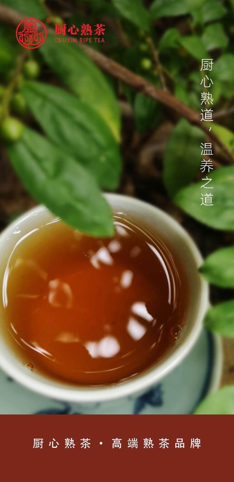 厨心熟茶｜熟道：夏季一杯熟茶，养身又养心