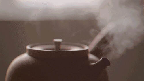 秋冬煮饮白茶必懂的 3个窍门！