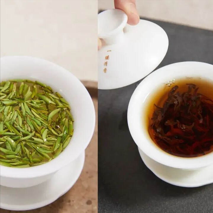 绿茶与红茶，到底有什么区别？