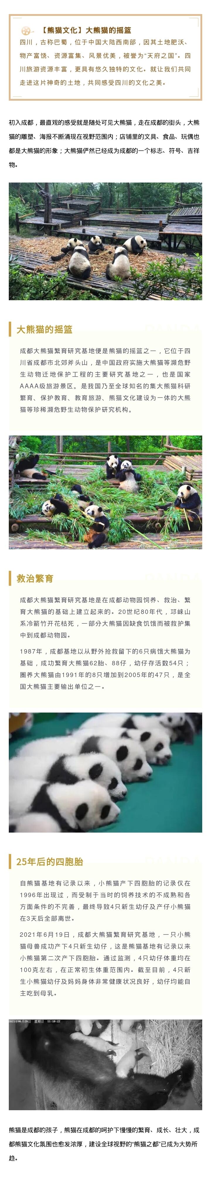「周末话巴蜀」大熊猫的摇篮—成都大熊猫繁殖研究基地