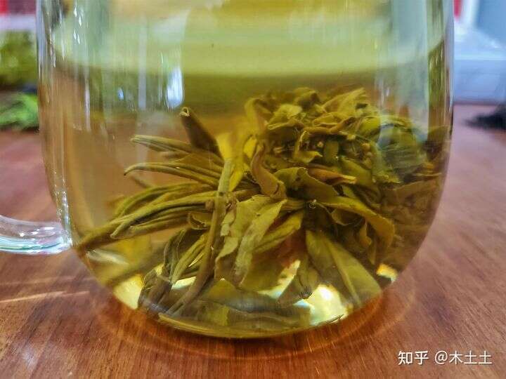 哪个品牌的茉莉花茶可以做为口粮茶