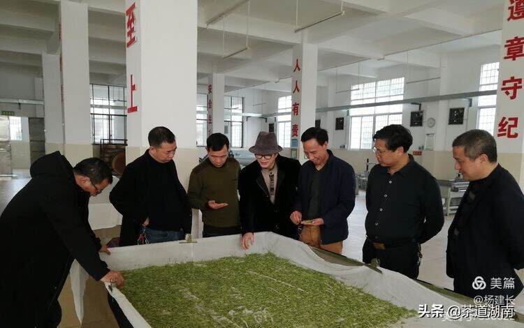 五茶叶品牌入列湖南省优质农产品产销对接服务中心