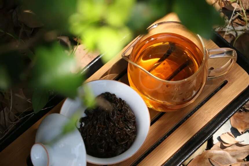 除了绿茶，其它茶类有必要赶“春茶潮”吗？