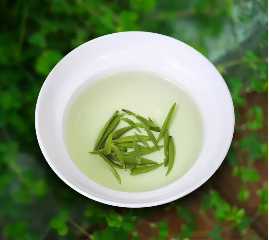 江苏12种非著名绿茶大赏