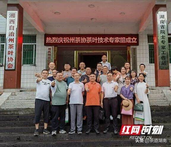 湘西州茶叶协会技术专家组在吉首成立