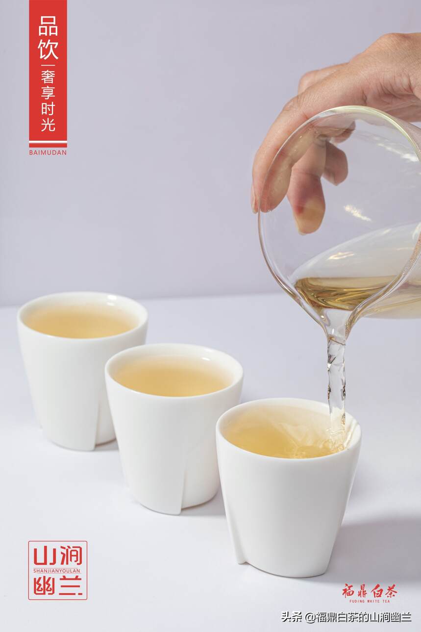 白茶和绿茶最大区别有哪些？