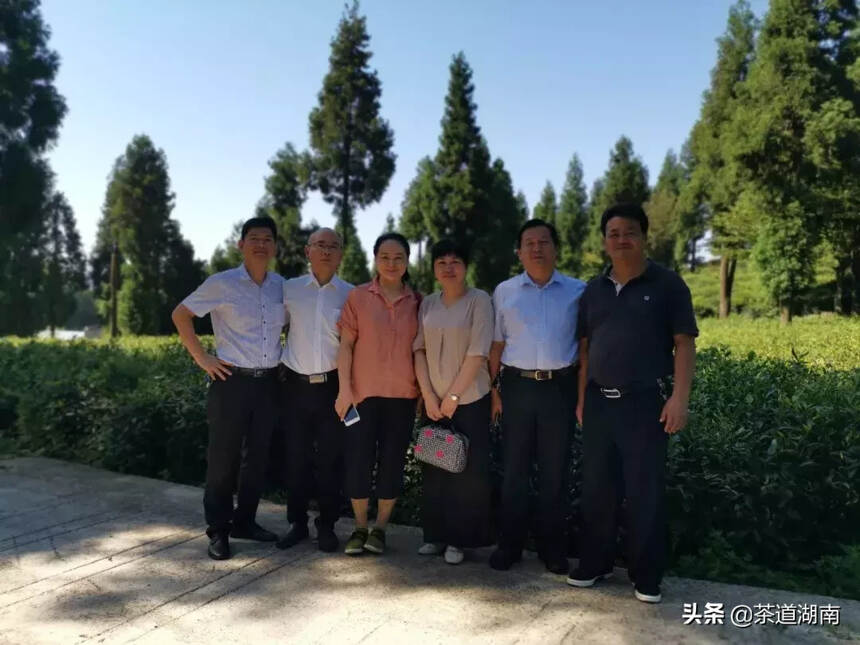 茶讯 | 贵州茶园面积全国第一：湖南组团调研