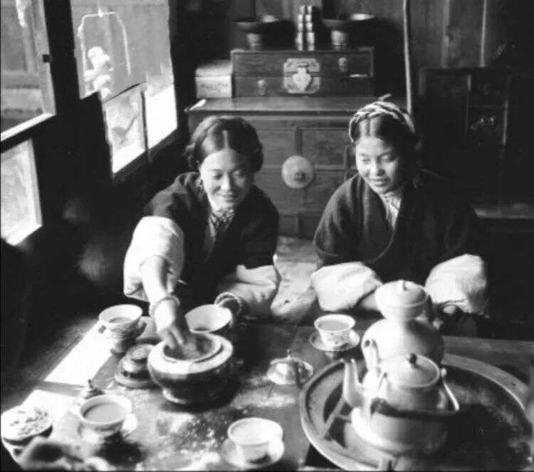 帝芙特茶科普：为什么那么多人爱喝藏茶？