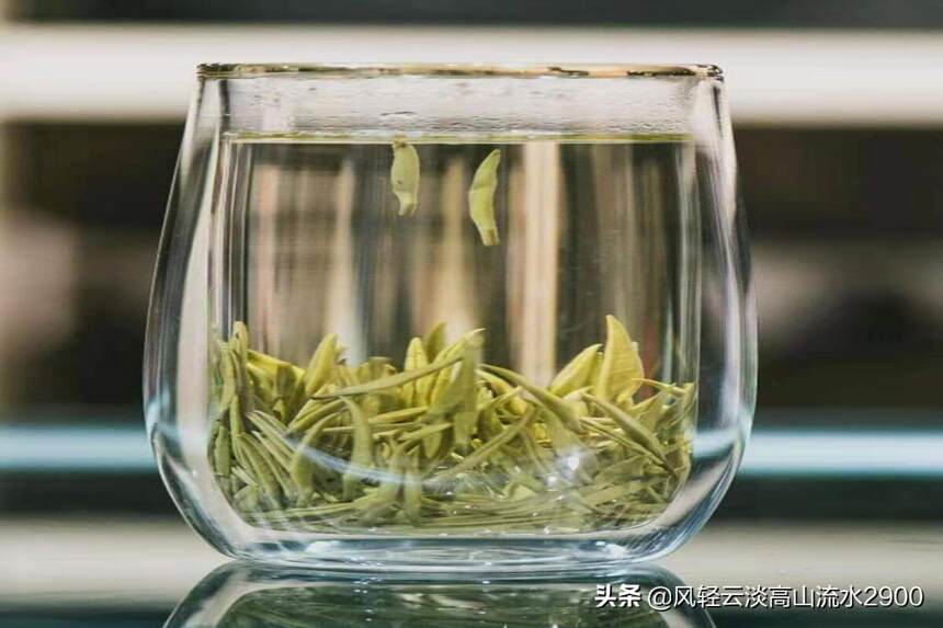 新黄茶“踏雪兰妃”，黄茶与花茶工艺完美结合，兰香幽幽滋味甘醇