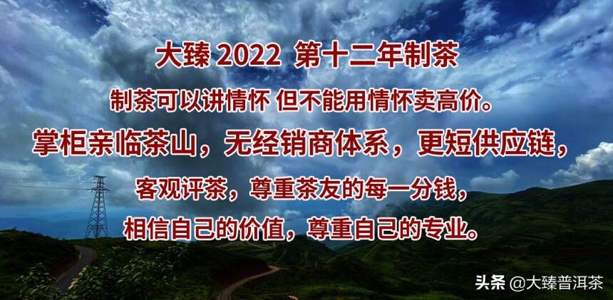 大臻古茶2022年预售产品说明和推荐组合