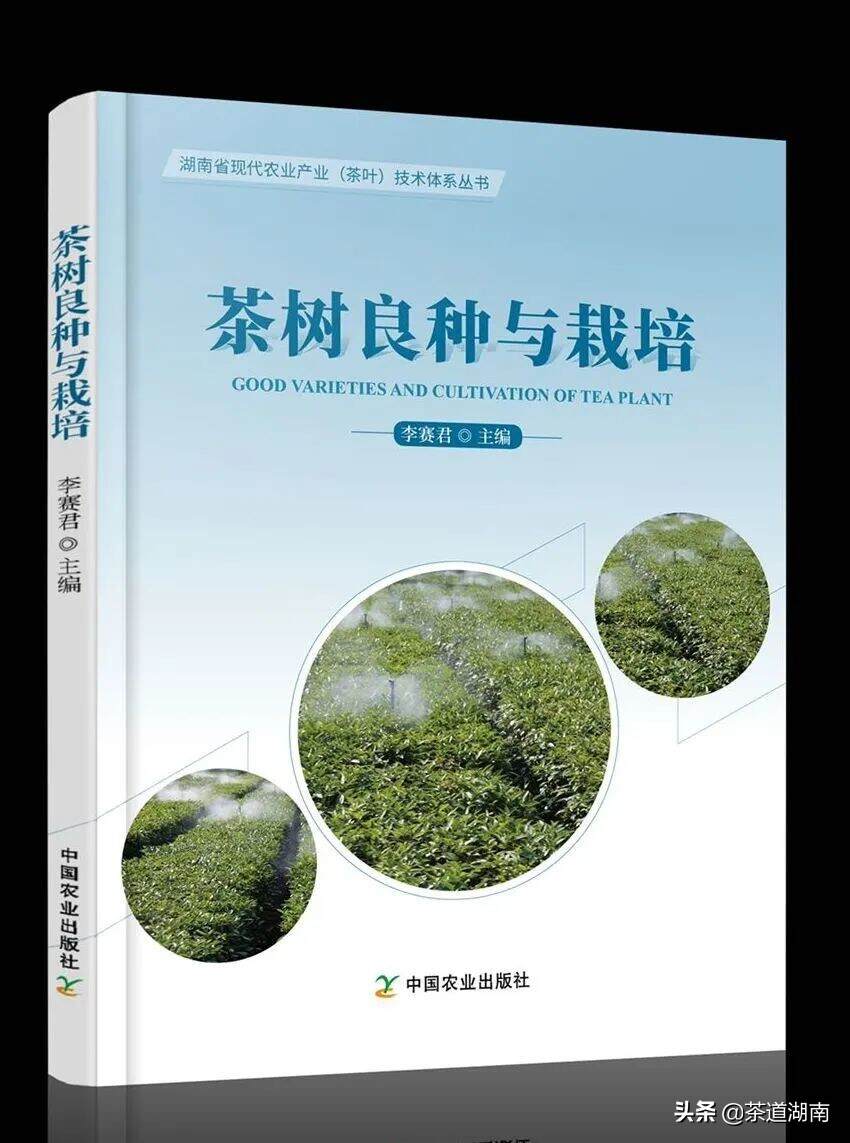 湖南茶树种质资源