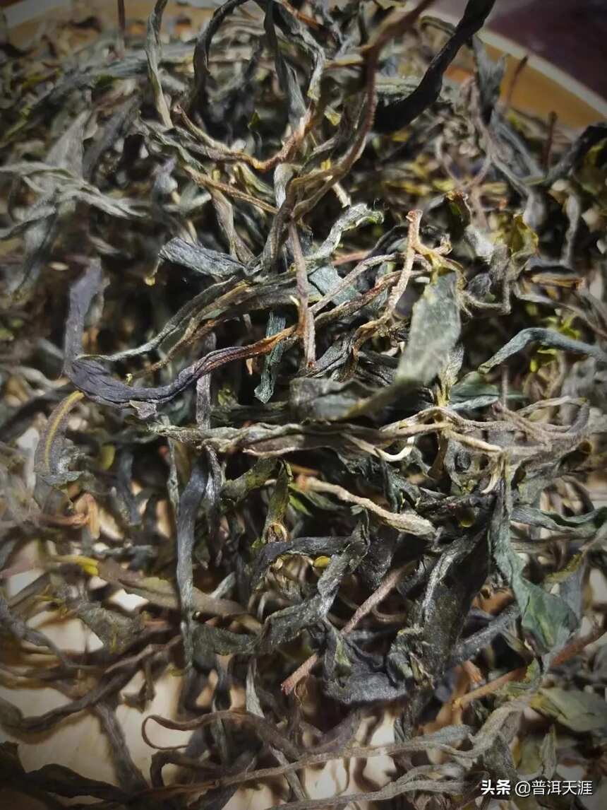 普洱生茶是不是绿茶
