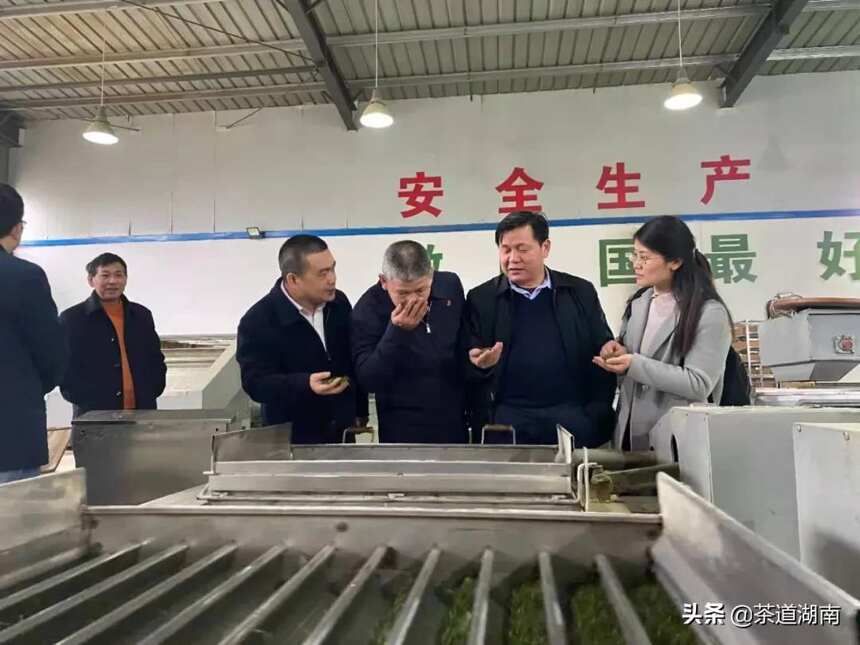 湖南省茶业协会战略专家组一行调研石门县茶叶产业