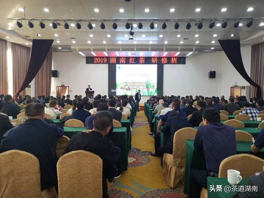 2019“湖南红茶”研修班在长沙举行