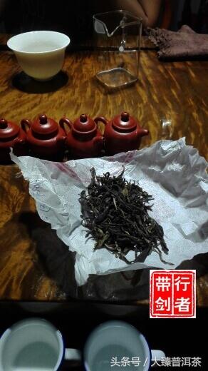行者品茶(011)：怀念落水洞茶王树