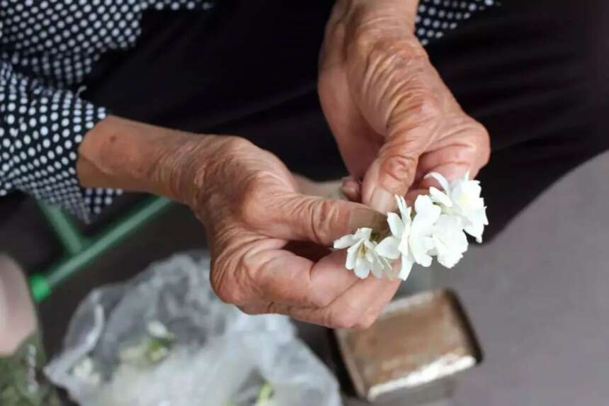茉莉花、白兰花、玳玳花，苏州的“三花”季，还有多少卖花阿婆？