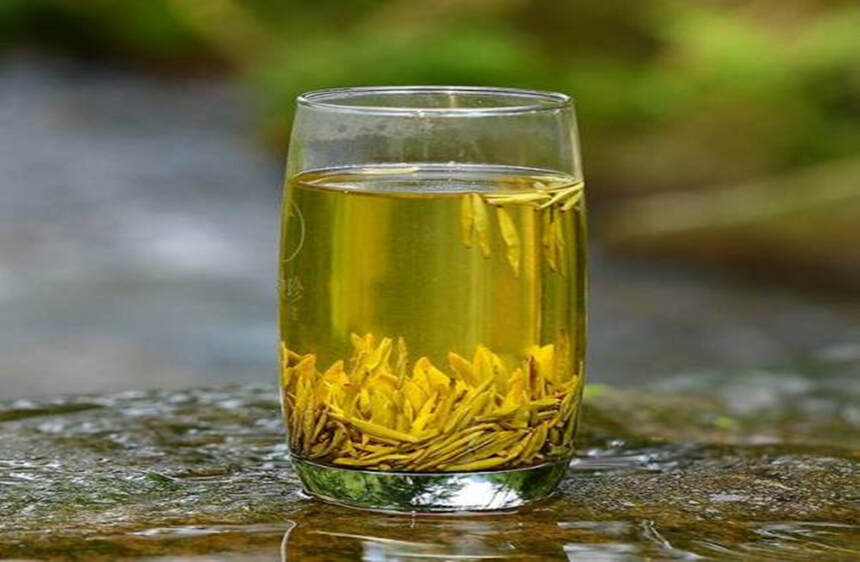 传奇黄茶，成就于阴差阳错的“平阳黄汤”，黄汤黄叶黄底，玉米香