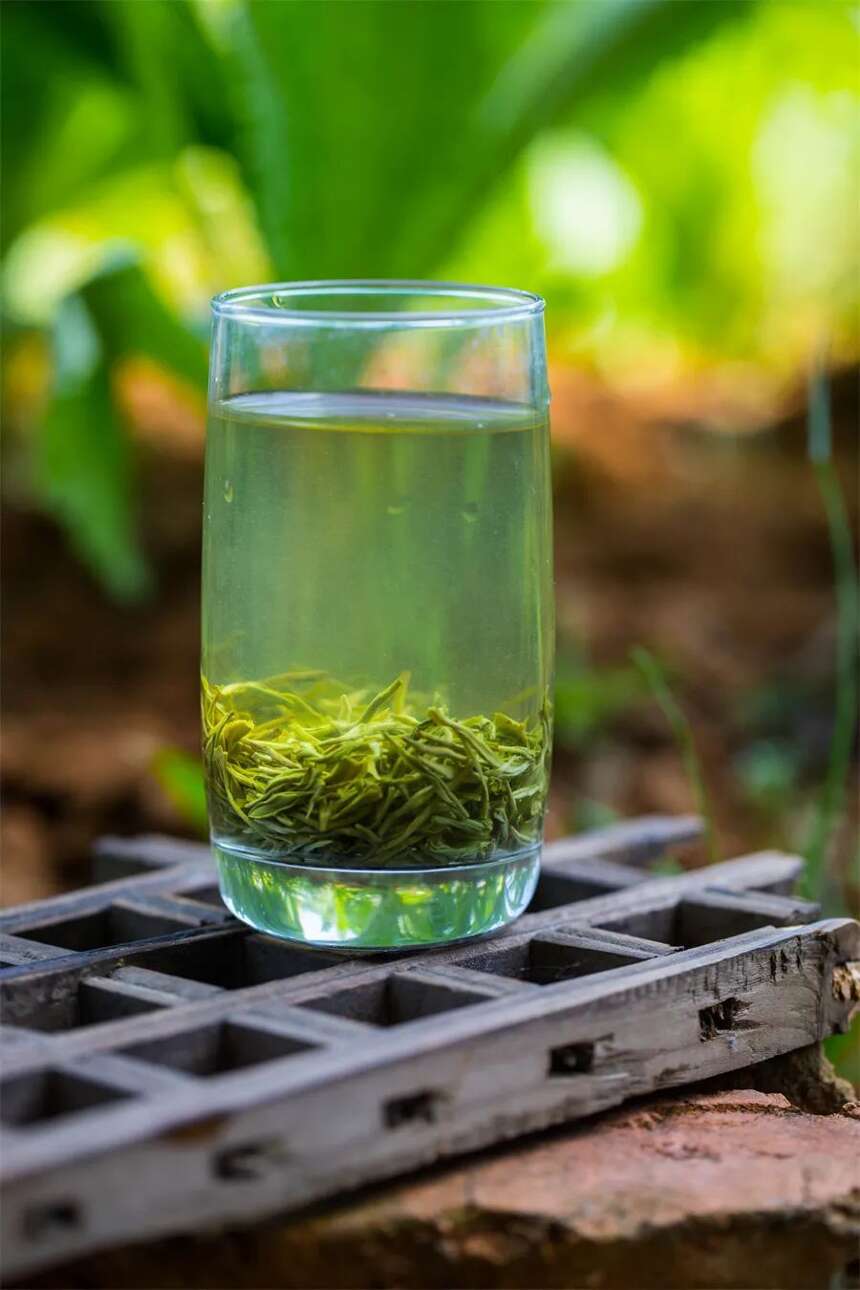 绿茶不要沸水泡！是茶商的忽悠还是真有道理？